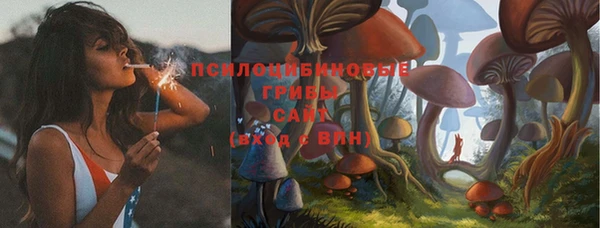 прущая мука Медвежьегорск