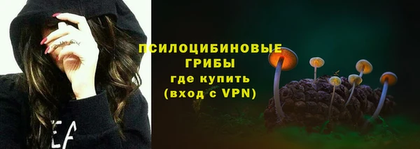 бошки Гусиноозёрск