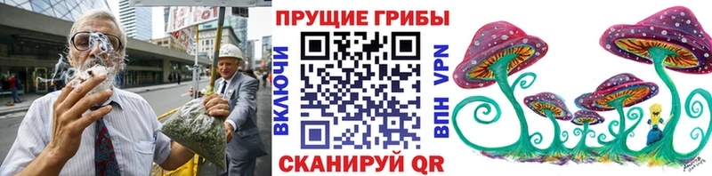 Псилоцибиновые грибы MAGIC MUSHROOMS  хочу наркоту  Дудинка 